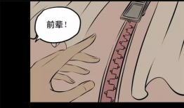 拉链漫画,幽默与智慧的完美结合